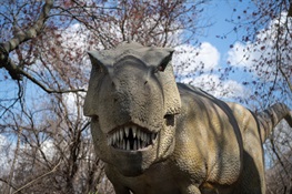 Ancient History Meets Present Day: Dinosaur Safari NOW OPEN at Bronx Zoo
